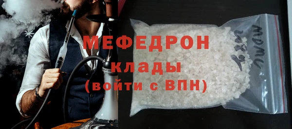 индика Бородино