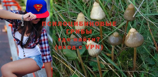индика Бородино