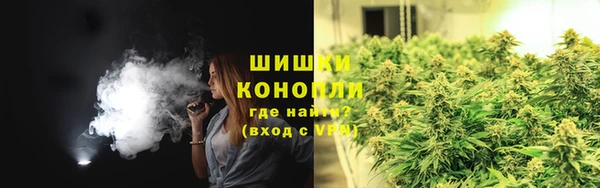 индика Бородино