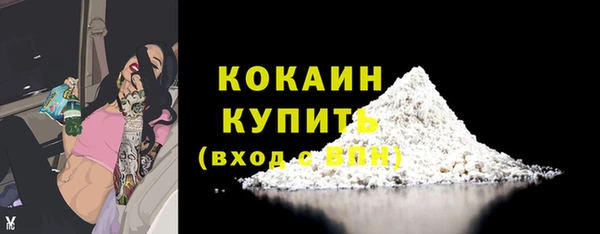 индика Бородино