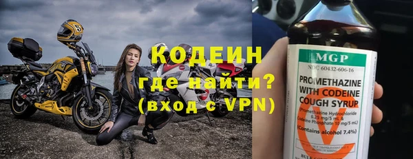 прущие грибы Бугульма