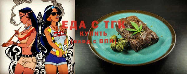 индика Бородино