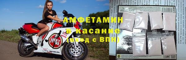 индика Бородино